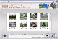 Professional Photo Recovery Tool screenshot